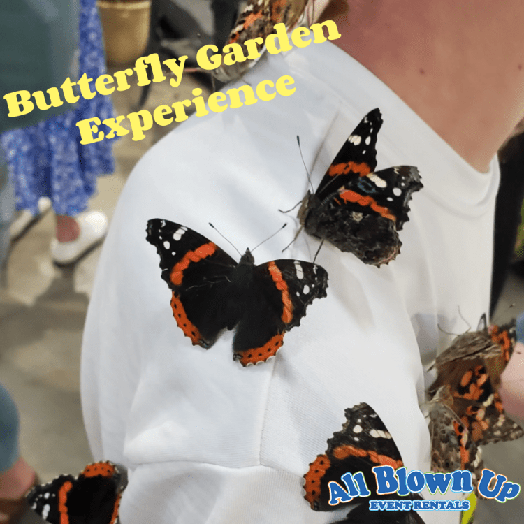 Butterfly Garden Experience