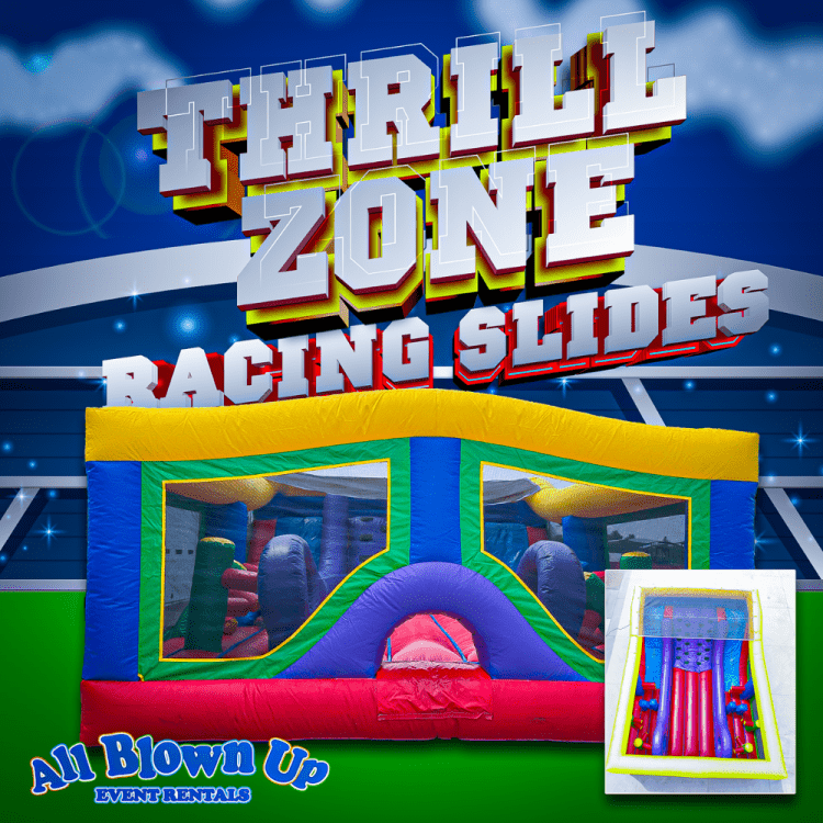 Thrill Zone Racing Slides